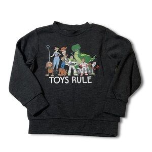 NWOT 4T Gray Disney Toy Story 4 Sweater Sweatshirt Pullover Top New Toddler Kids